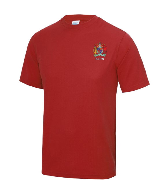 King Edward VI Five Ways House T-Shirt - Red - Gogna Schoolwear and Sports